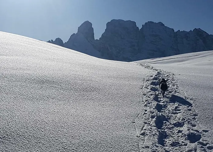 Appartement La Candide