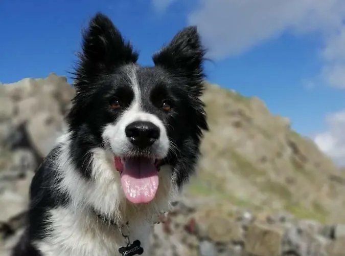 La Appartement Candide