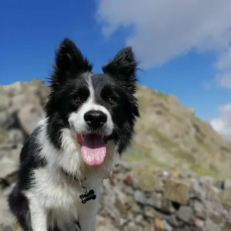 La Apartament Candide